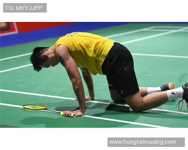 南京羽毛球队技术深度解析与训练方法探讨